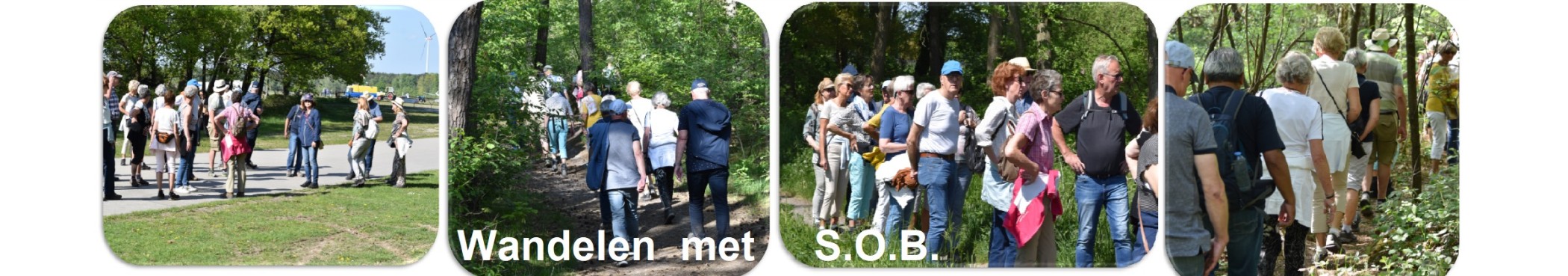 Stichting S.O.B. Venlo: Stichting S.O.B. Venlo